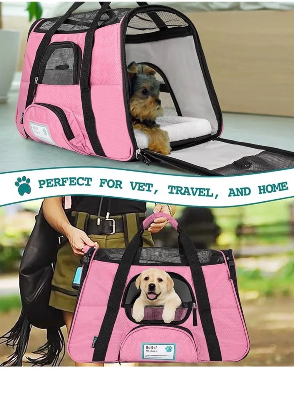Petit Ami Pink and Black Soft-Sided Pet Carrier
